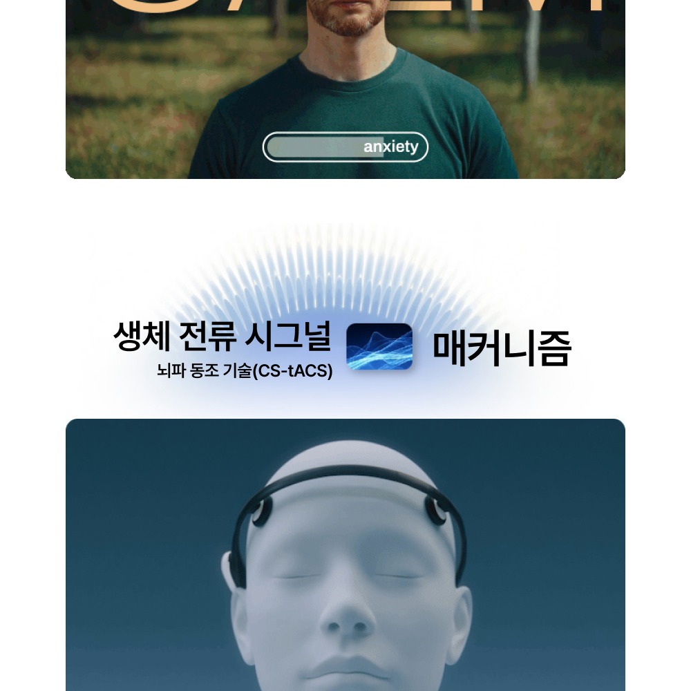 블리솔 상세 이미지 4