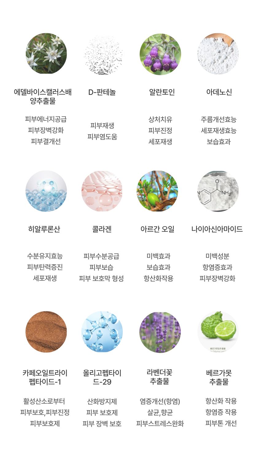 몸이 편한 스프레이 상세 이미지 9
